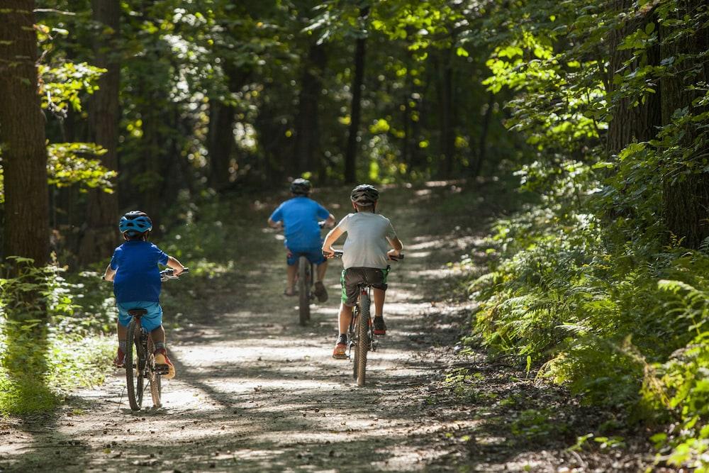 Chestnut Mountain Resort Galena Ngoại thất bức ảnh