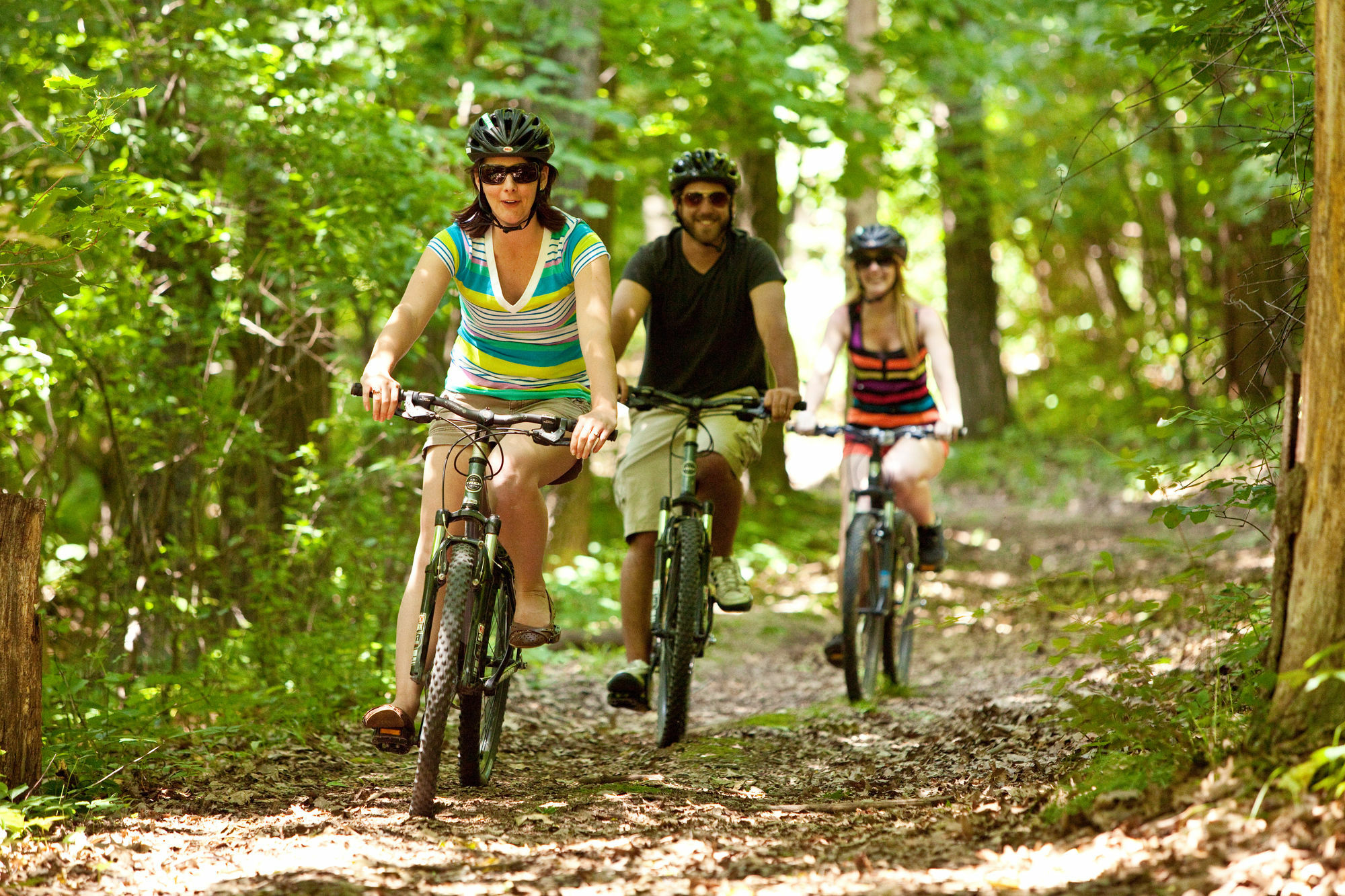 Chestnut Mountain Resort Galena Ngoại thất bức ảnh